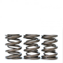 Load image into Gallery viewer, Skunk2 Tuner Series Honda/Acura (H22A/F20B) DOHC VTEC Alpha Valve Spring Set (Dual Springs)