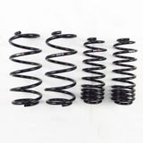 RS-R 2015-2020 Honda Fit (GK5) Down Sus Springs