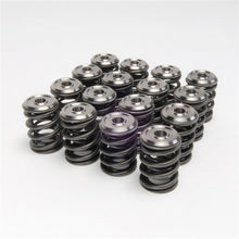 Load image into Gallery viewer, Skunk2 Alpha Series Honda/Acura K Series Valve Spring and Titanium Retainer Kit