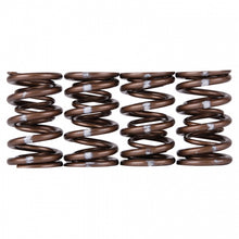 Load image into Gallery viewer, Skunk2 Pro Series Honda/Acura K-Series i-VTEC XP Valve Spring Set (Dual Springs)