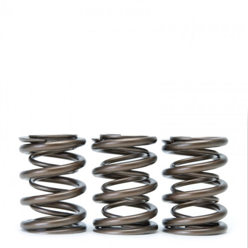 Skunk2 Tuner Series Honda/Acura (B16A/ B17A/ B18C) DOHC VTEC Alpha Valve Spring Set (Dual Springs)